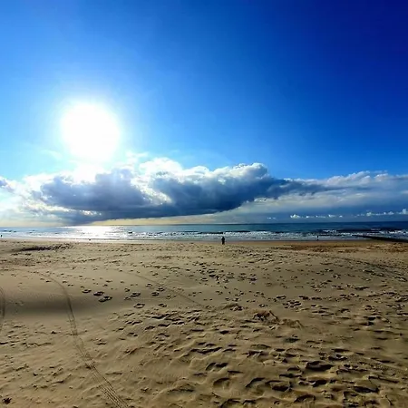 Ruim Zonnig Op 50m Daire *